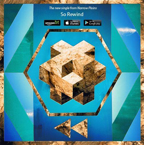 Narrow Plains Logo Plus